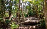 19-4144 Haunani Rd - Photo 4