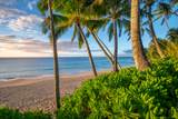 5-7834 Kuhio Hwy - Photo 16