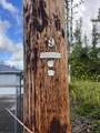 16-2106 Bamboo Dr - Photo 7
