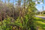  Lehua St - Photo 11