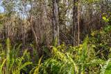  Lehua St - Photo 12