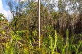  Lehua St - Photo 13