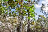  Lehua St - Photo 14