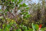  Lehua St - Photo 15