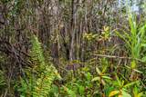  Lehua St - Photo 17