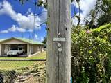  Coconut Dr - Photo 11