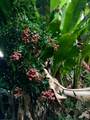 3198 Wawae Rd - Photo 27