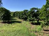 96-2951 Paauau St - Photo 28