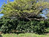 96-2951 Paauau St - Photo 4