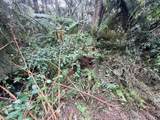 73-1818 Hao St - Photo 10