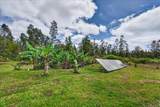 11-1869 Alapua St - Photo 2