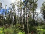  Kokokahi Rd - Photo 2