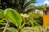 14-3361 Mauna Kea Rd - Photo 17