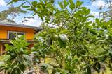 14-3361 Mauna Kea Rd - Photo 19