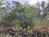  King Kamehameha Blvd - Photo 17