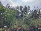  King Kamehameha Blvd - Photo 21