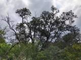  King Kamehameha Blvd - Photo 22