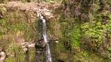 32-1175 Aina Wai Rd - Photo 12