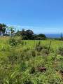 3961 Papalina Rd - Photo 2