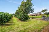 52-4602 Akoni Pule Hwy - Photo 14