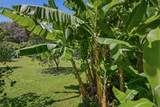 5085-A Aliomanu Rd - Photo 14