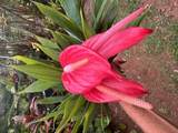 44-2806 Kalaniai Rd - Photo 20