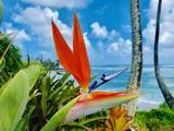 366 Papaloa Rd - Photo 9