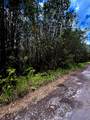  Road 1 (Uhini Ana) - Photo 2