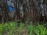  Road 1 (Uhini Ana) - Photo 4