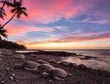 69-1648 Puako Beach Dr - Photo 23