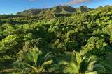 6565-C Koolau Rd - Photo 2