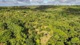 6565-C Koolau Rd - Photo 11