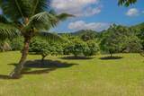 6565-C Koolau Rd - Photo 20