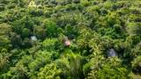 6565-C Koolau Rd - Photo 27