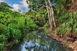 6565-C Koolau Rd - Photo 29