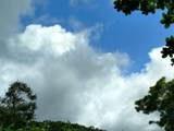  Cr Kuhio Hwy/Alamihi Rd - Photo 12