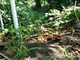  Cr Kuhio Hwy/Alamihi Rd - Photo 14