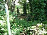  Cr Kuhio Hwy/Alamihi Rd - Photo 16
