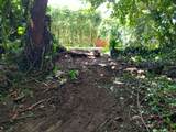  Cr Kuhio Hwy/Alamihi Rd - Photo 5