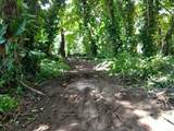  Cr Kuhio Hwy/Alamihi Rd - Photo 6