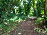  Cr Kuhio Hwy/Alamihi Rd - Photo 7