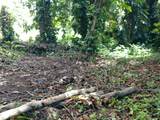  Cr Kuhio Hwy/Alamihi Rd - Photo 8