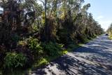  Nahelenani St - Photo 15