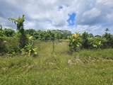  Meaulu St - Photo 8