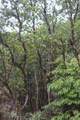 11-3245 Lehua St - Photo 7