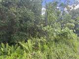  Wehelauniu St - Photo 6