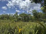  Pohakupele Lp - Photo 11