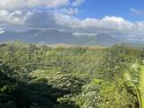 5250-D Kahiliholo Rd - Photo 1