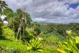 5250-D Kahiliholo Rd - Photo 27