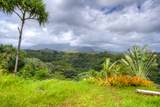 5250-D Kahiliholo Rd - Photo 8